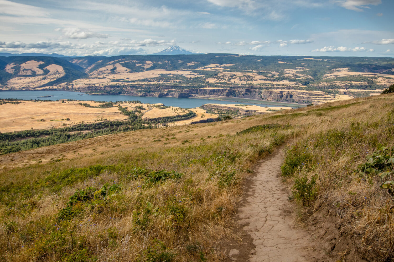 Rowena Crest viewpoint in Oregon