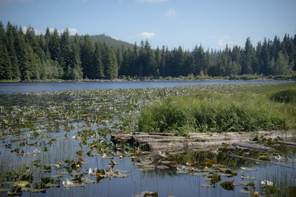 Trillium Lake Oregon