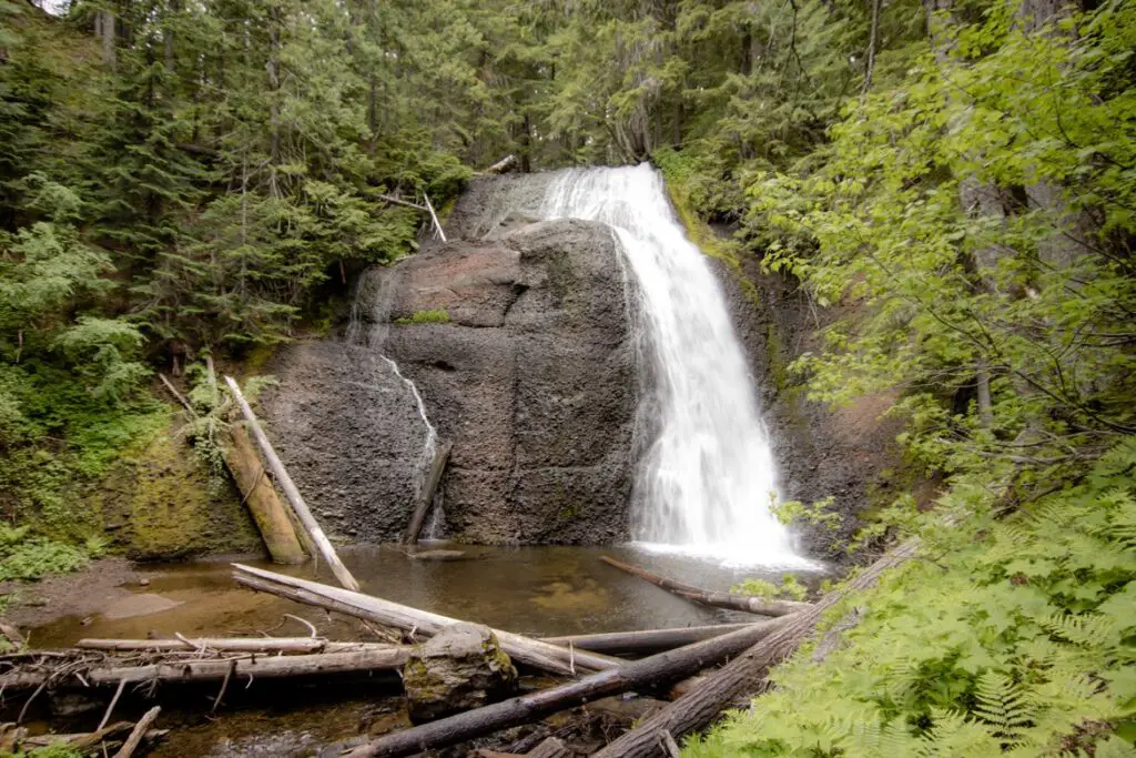 Paradise Falls, Near Mt St Helen In the Pinchot Gifford Nat…