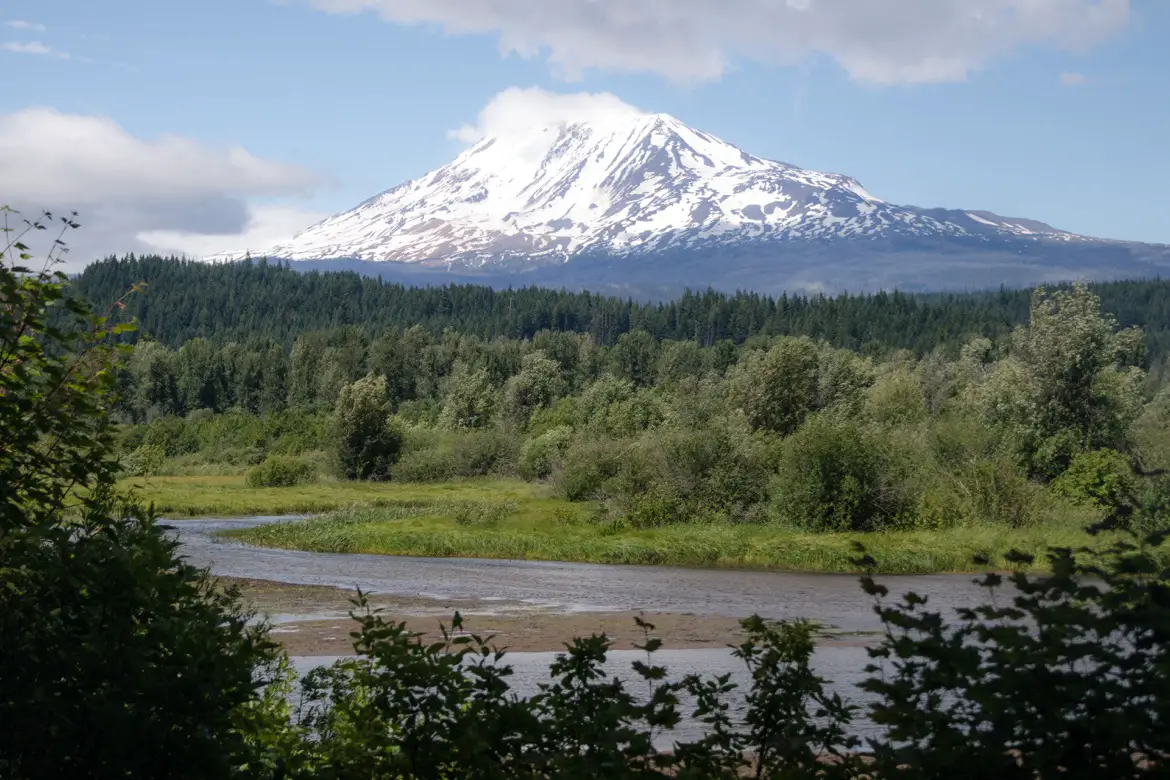 Mt Adams seen from Trout Lake