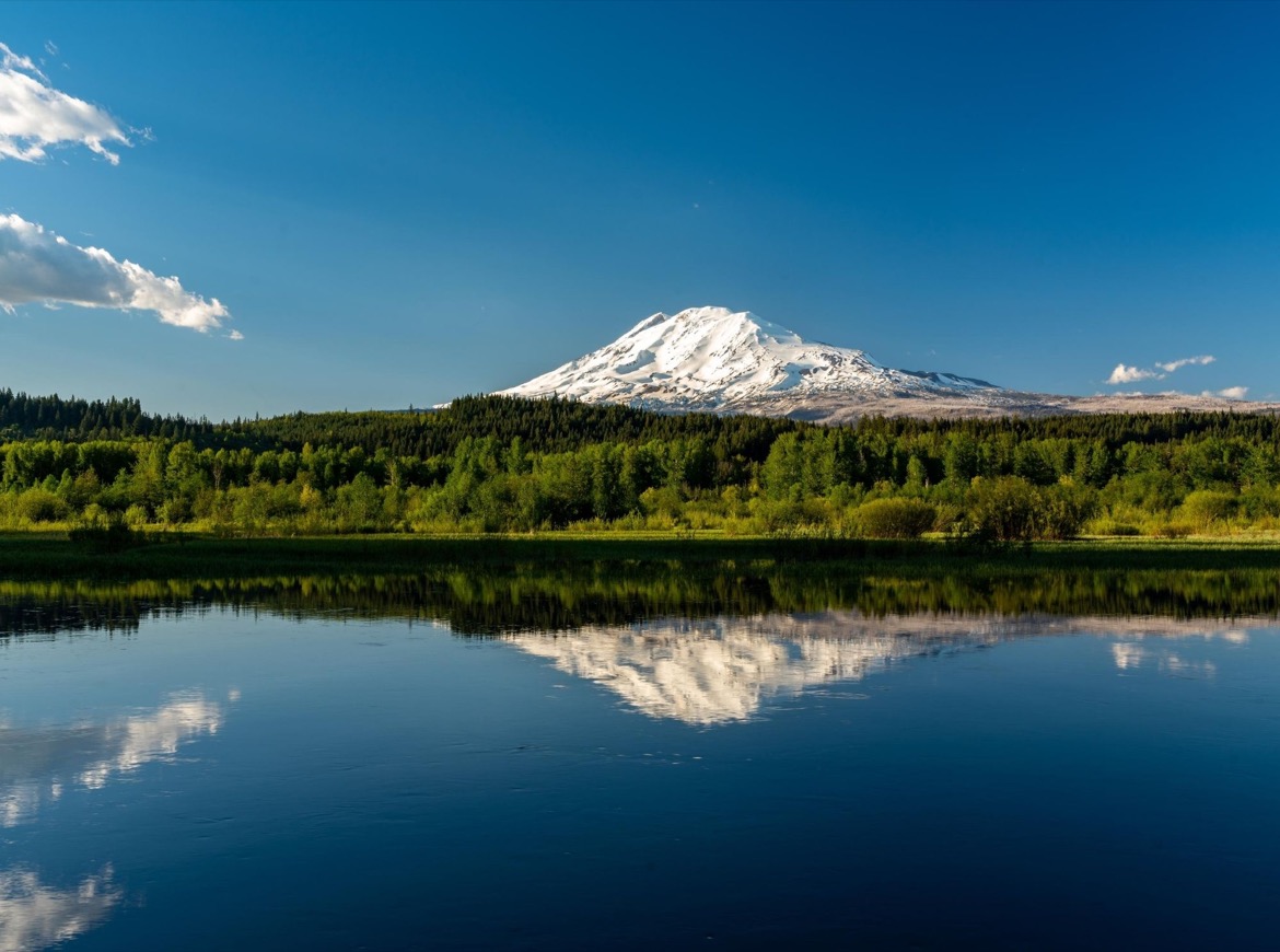 trout lake