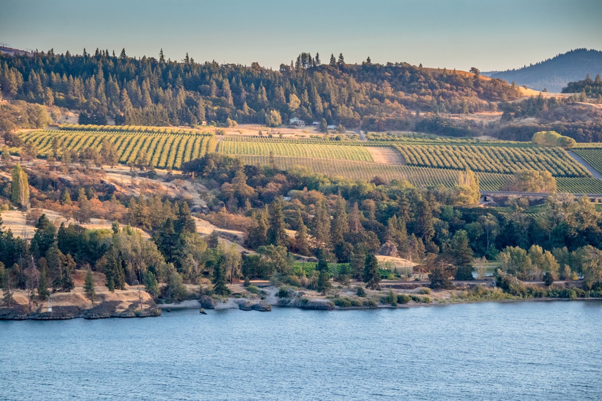 Wineries in Mosier, Oregon