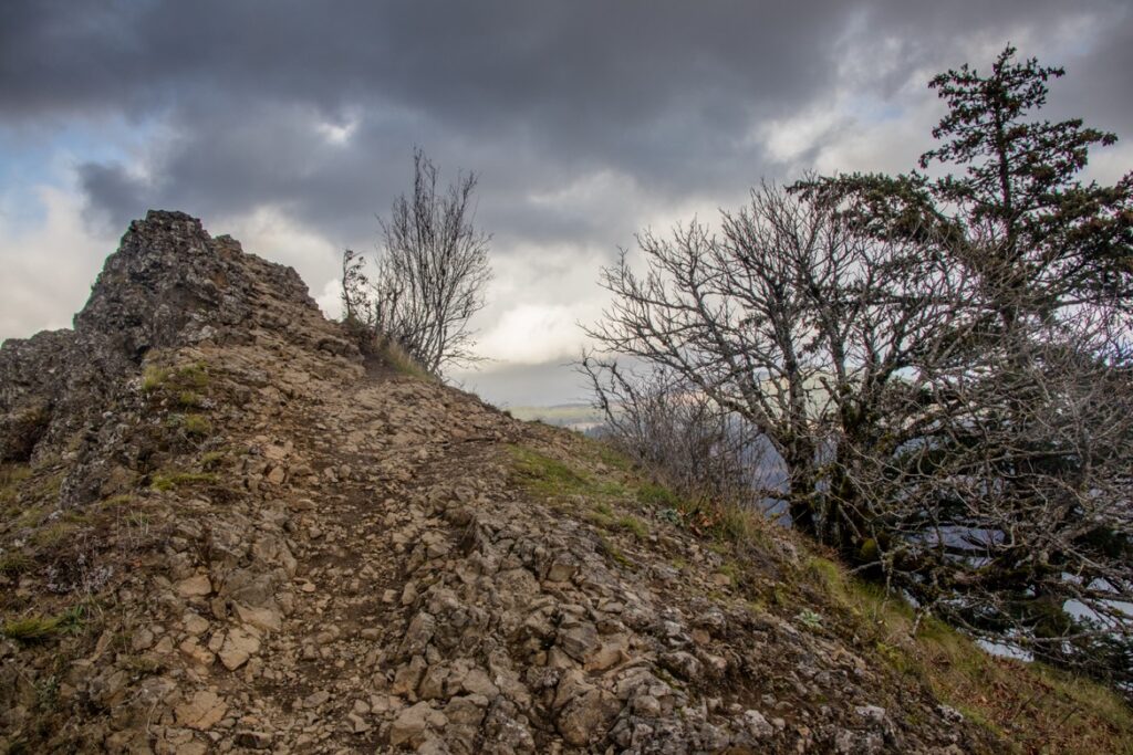 Why Mitchell Point trail is one of the best Hood River hikes