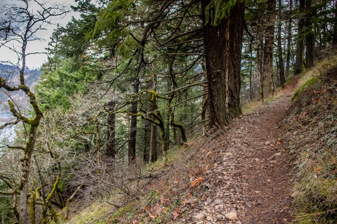 The Mitchell Point trail is one of the best hikes near Hood River, Oregon