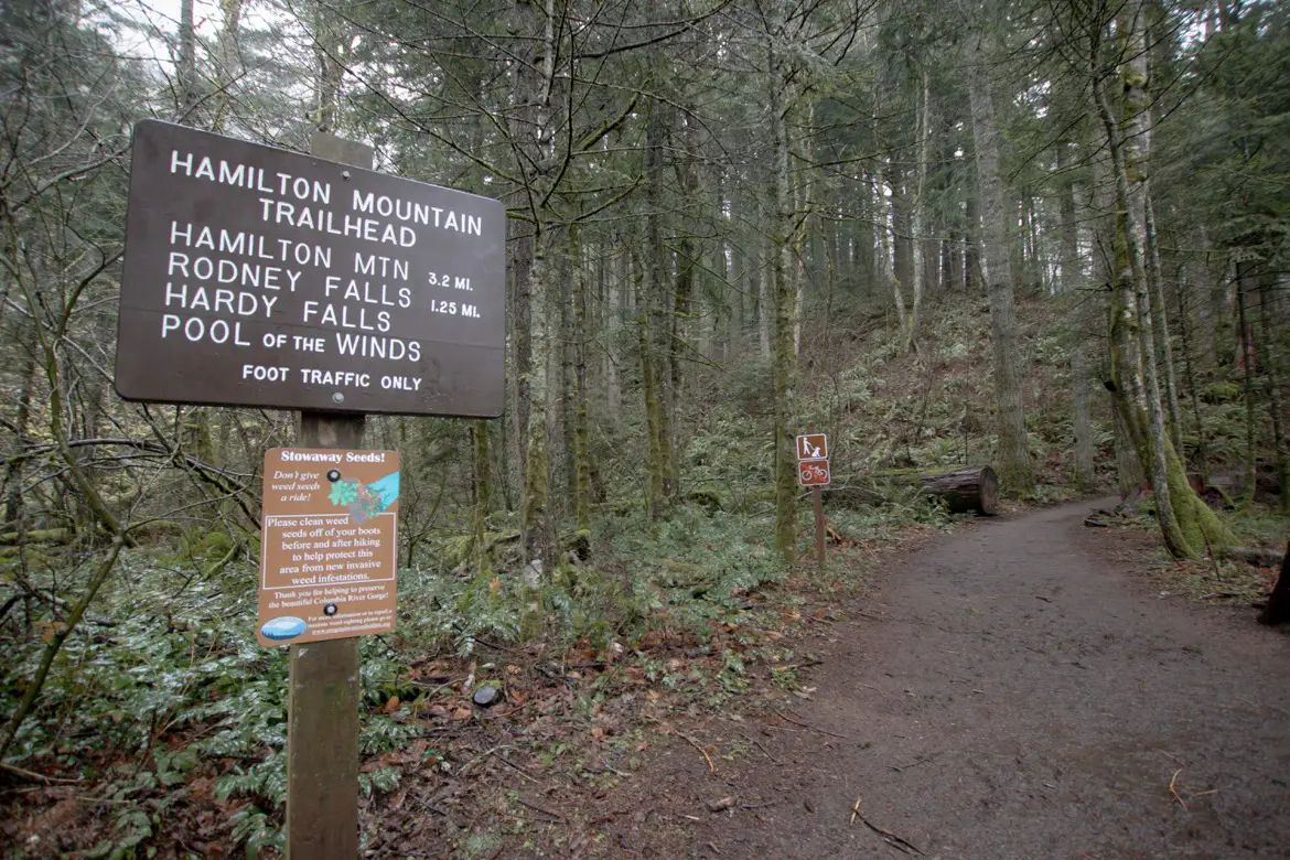 Hamilton Mountain Trail Washington