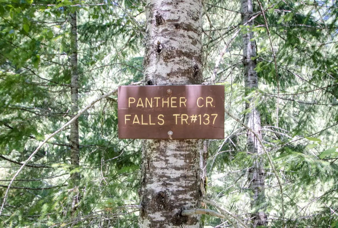 Panther Creek Falls trail